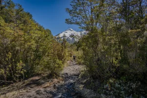 Refugio_Volcán_Calbuco_Los_16_De_Chile_DeporteLibre_diciembre_20239