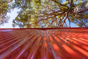 Refugio_Volcán_Calbuco_Los_16_De_Chile_DeporteLibre_diciembre_2023_24