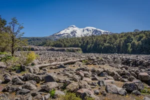 Refugio_Volcán_Calbuco_Los_16_De_Chile_diciembre_2023 5
