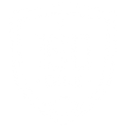 logo16dechile